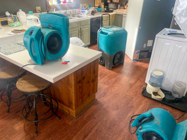 Best Mold removal after water damage  in Hayden, ID
