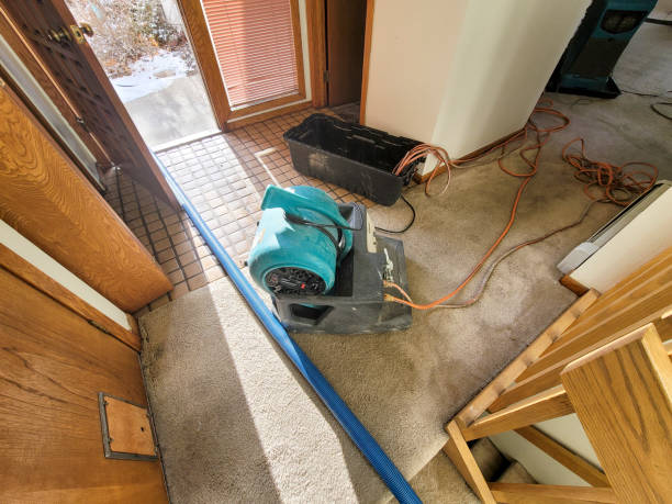 Best Sewage cleanup and water damage restoration  in Hayden, ID