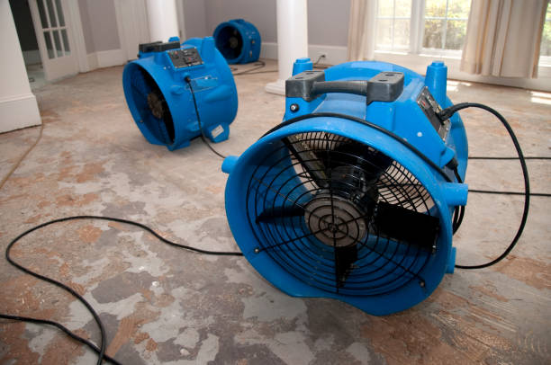Best Flood damage cleanup  in Hayden, ID