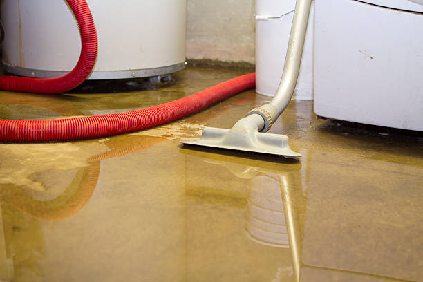 Best Water damage cleanup near me  in Hayden, ID