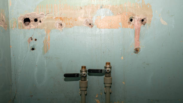Best Residential water damage restoration  in Hayden, ID