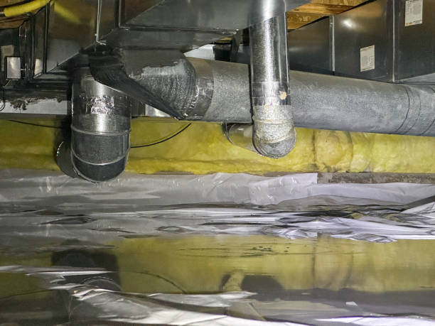 Best Water damage restoration near me  in Hayden, ID