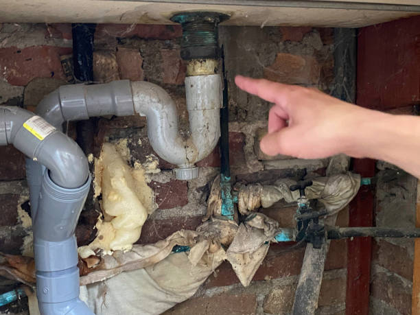 Best Mold removal after water damage  in Hayden, ID