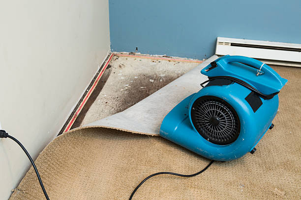 Sewage cleanup and water damage restoration in ID